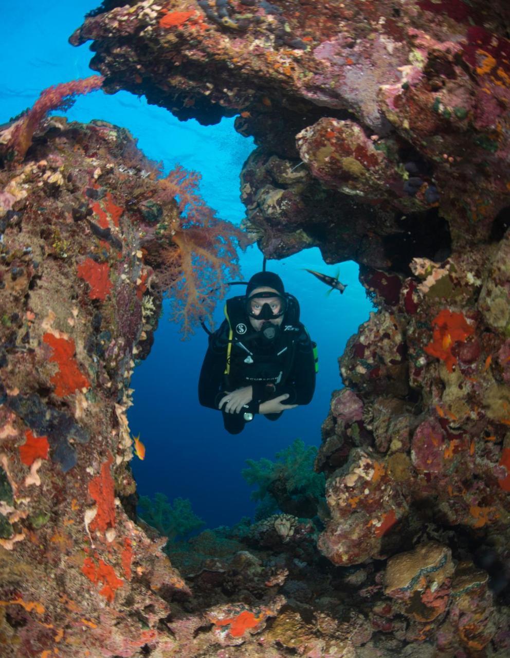Aqaba Adventure Divers Resort & Dive Center Exterior photo